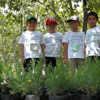 Pequeños mayordomos de la creación