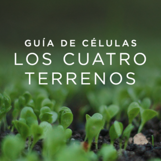 Lección de células de adultos para sábado 28 de agosto