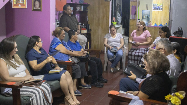 Celulas que se multiplican